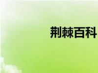 荆棘百科（荆棘铜驼简介）