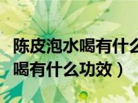陈皮泡水喝有什么功效和作用禁忌（陈皮泡水喝有什么功效）