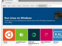 WSL也就是WindowsSubsystemforLinux一种可以让用户在Windows上运行Linux的技术