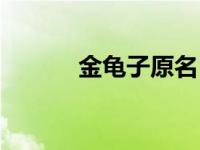 金龟子原名（金龟子来了简介）