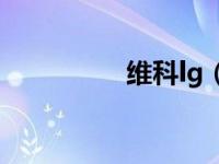 维科lg（维科手机简介）