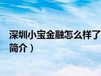 深圳小宝金融怎么样了（深圳小宝互联网金融服务有限公司简介）