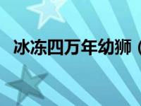 冰冻四万年幼狮（冰冻万年狮子尸体简介）