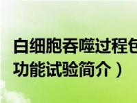 白细胞吞噬过程包括哪三个阶段（白细胞吞噬功能试验简介）