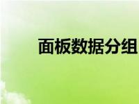 面板数据分组（面板数据分析简介）
