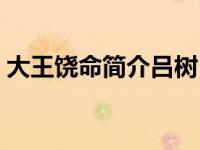 大王饶命简介吕树（曝料大王潘左秋右简介）