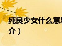 纯良少女什么意思（纯真少女VS无良拽少简介）