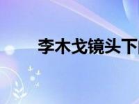 李木戈镜头下的女主（李木戈简介）