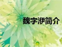 魏字洢简介（魏-汉语汉字简介）