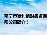 南宁市赛利纳财务咨询服务有限公司（南宁速达财务咨询有限公司简介）