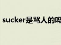 sucker是骂人的吗（Sucker For Pain简介）