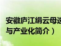 安徽庐江绢云母选矿试验研究（选矿试验研究与产业化简介）