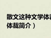 散文这种文学体裁的特点是什么（散文-文学体裁简介）