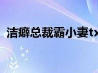 洁癖总裁霸小妻txt（洁癖总裁霸小妻简介）