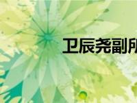 卫辰尧副所长（卫辰尧简介）