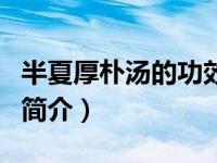 半夏厚朴汤的功效与作用及禁忌（半夏厚朴汤简介）
