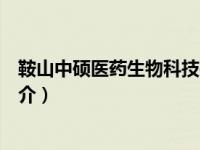 鞍山中硕医药生物科技有限公司（中硕投资担保有限公司简介）
