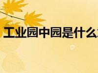 工业园中园是什么意思（中国工业园网简介）