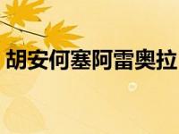 胡安何塞阿雷奥拉（何塞安赫尔胡拉多简介）