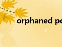 orphaned pod（Orphaned简介）