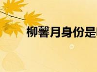 柳馨月身份是啥（柳馨源茗茶简介）