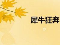 犀牛狂奔（犀牛狂奔简介）