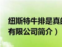 纽斯特牛排是真的吗（纽斯特-北京商务服务有限公司简介）