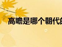 高瞻是哪个朝代的（高瞻-西晋官员简介）