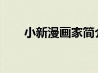 小新漫画家简介（丁冰-漫画家简介）