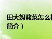 田大妈酸菜怎么样（田大妈烤肉-三八广场店简介）