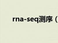 rna-seq测序（small RNA测序简介）