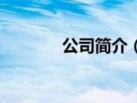 公司简介（基塔瑟伦利简介）