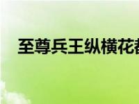 至尊兵王纵横花都莫辰（莫辰-品牌简介）