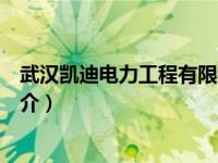 武汉凯迪电力工程有限公司（武汉凯迪电力工程有限公司简介）