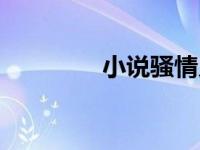 小说骚情乡村（骚情简介）