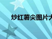 炒红薯尖图片大全（素炒红薯尖简介）