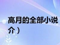 高月的全部小说（江山战图-高月著作小说简介）