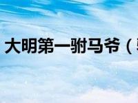 大明第一驸马爷（驸马爷玩转大明王朝简介）
