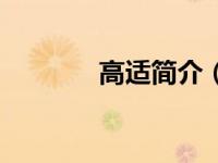 高适简介（高桥美佳子简介）