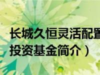 长城久恒灵活配置混合（长城久恒平衡型证券投资基金简介）