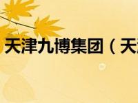 天津九博集团（天津九博科技有限公司简介）