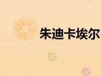 朱迪卡埃尔（朱迪黑尔茨简介）