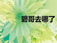 碧哥去哪了（全民TV碧哥简介）