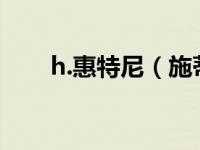 h.惠特尼（施蒂费尔-惠特尼类简介）