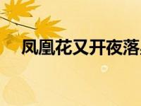 凤凰花又开夜落星辰（凤凰花又开简介）