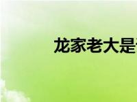 龙家老大是谁（龙家主母简介）