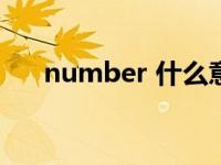number 什么意思（Number 9简介）