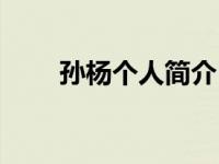 孙杨个人简介（经营超市赚钱简介）