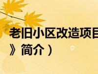 老旧小区改造项目简介（评《改造黑帮大小姐》简介）