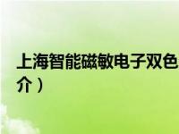 上海智能磁敏电子双色液位计安装（磁敏电子双色液位计简介）